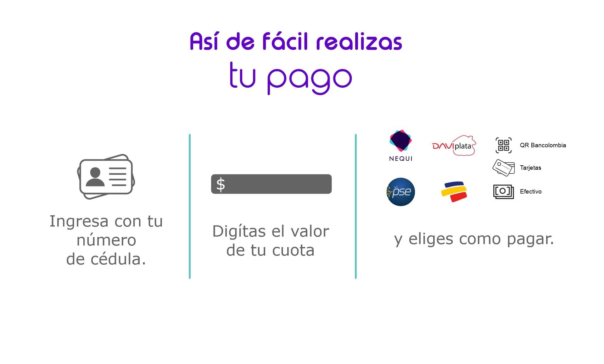 Banner ver video